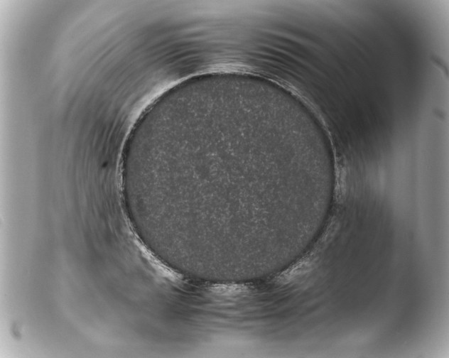 X0000103901037200810031144