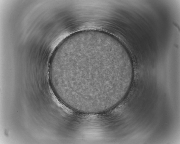 X0000103901038200810031144