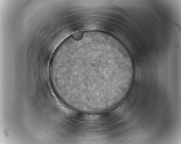 X0000103901039200810031144