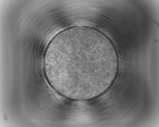 X0000103901040200810031144