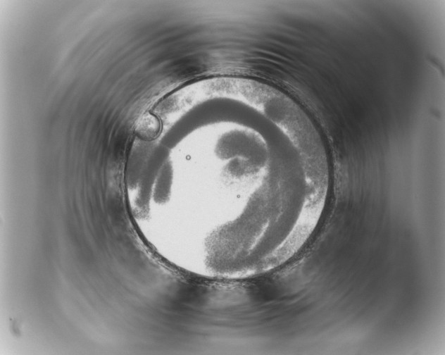 X0000103901041200810031144