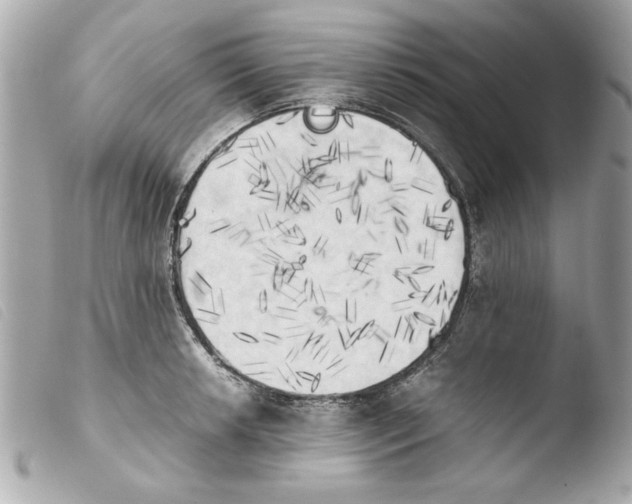 X0000103901042200810031144