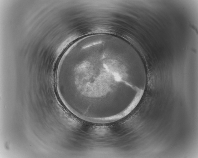 X0000103901043200810031144