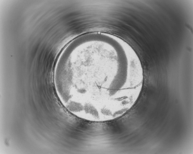 X0000103901044200810031144