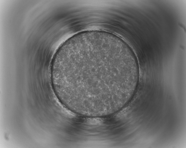 X0000103901045200810031144