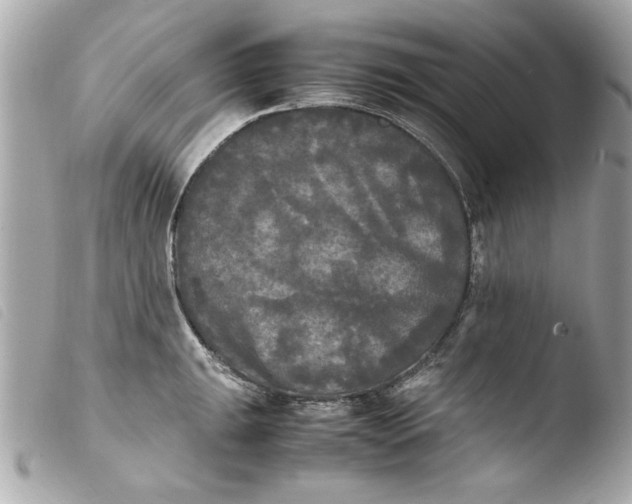 X0000103901047200810031144