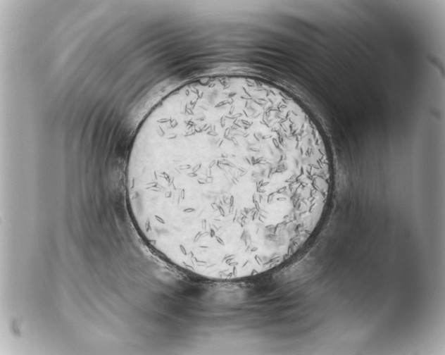 X0000103901049200810031144