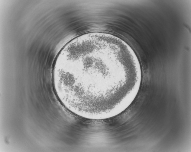 X0000103901050200810031144