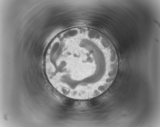 X0000103901051200810031144