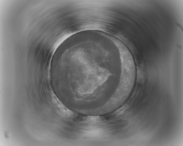 X0000103901052200810031144