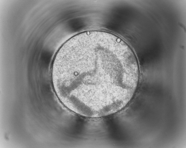 X0000103901053200810031144