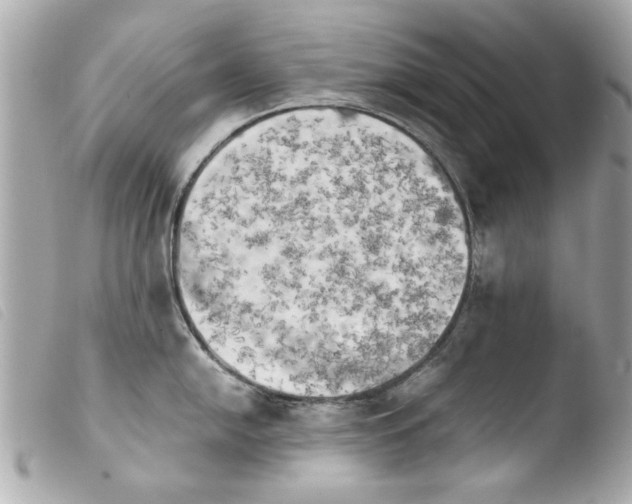 X0000103901054200810031144