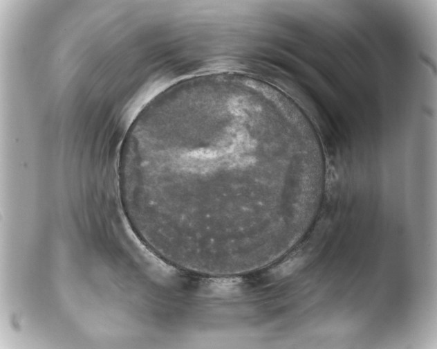 X0000103901055200810031144