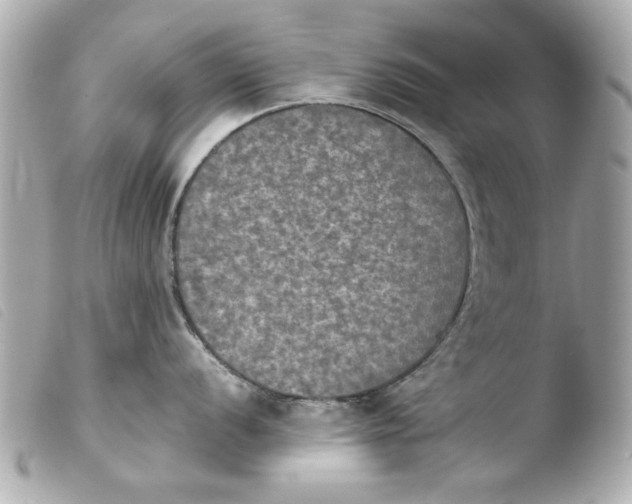 X0000103901056200810031144