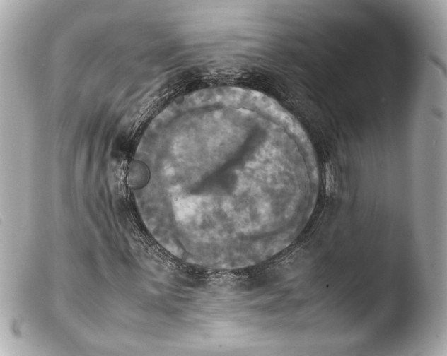 X0000103901059200810031143