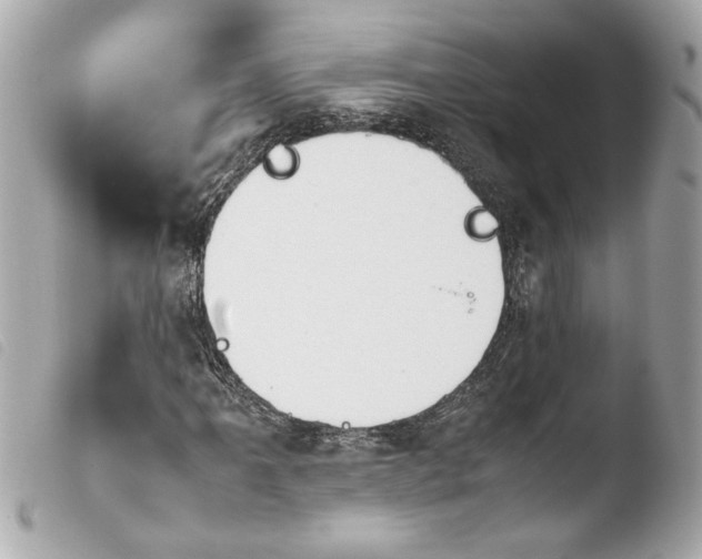 X0000103901061200810031143