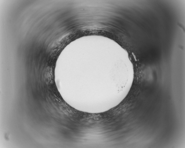 X0000103901062200810031143