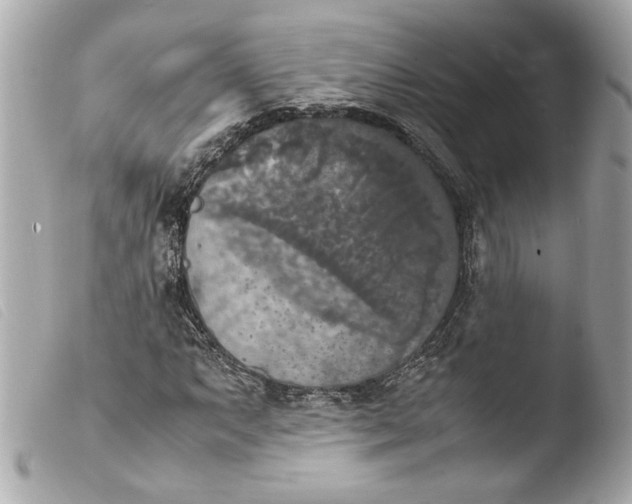 X0000103901063200810031143