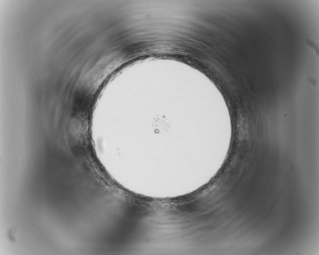 X0000103901065200810031143