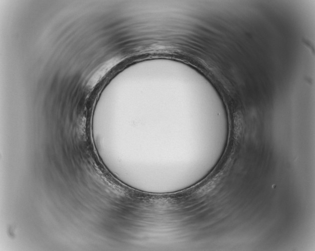 X0000103901066200810031143