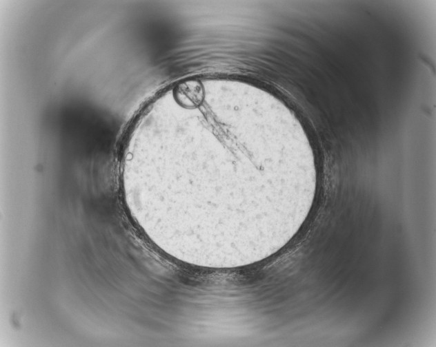 X0000103901067200810031143