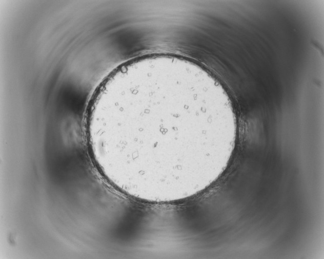 X0000103901068200810031143