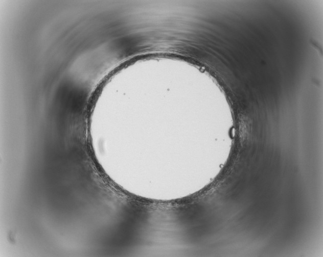 X0000103901069200810031143