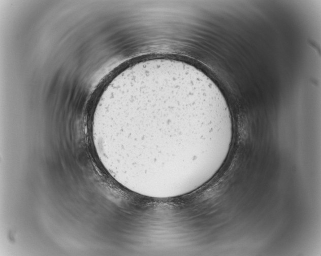 X0000103901070200810031143