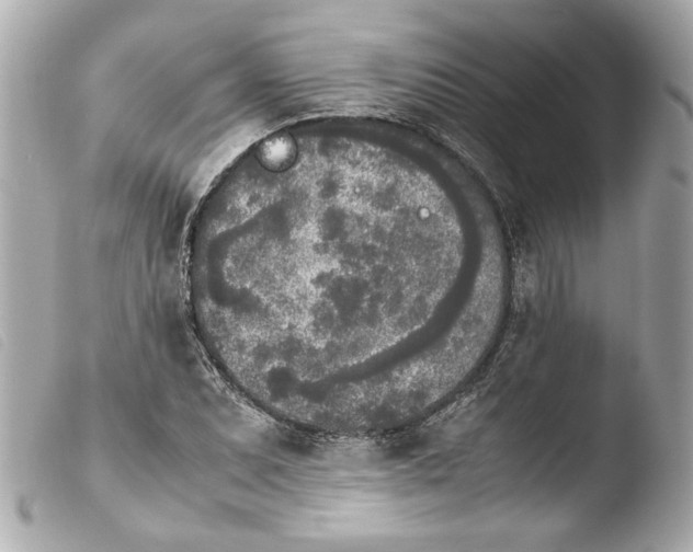 X0000103901071200810031143