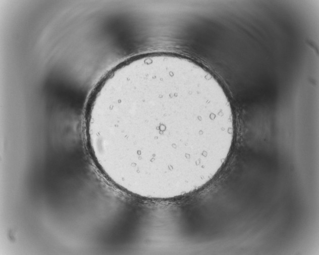 X0000103901072200810031143