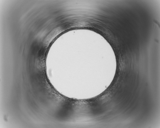 X0000103901073200810031143