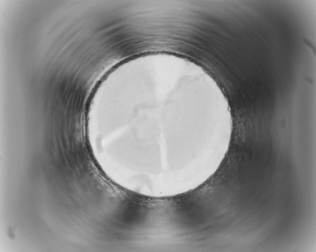 X0000103901076200810031143