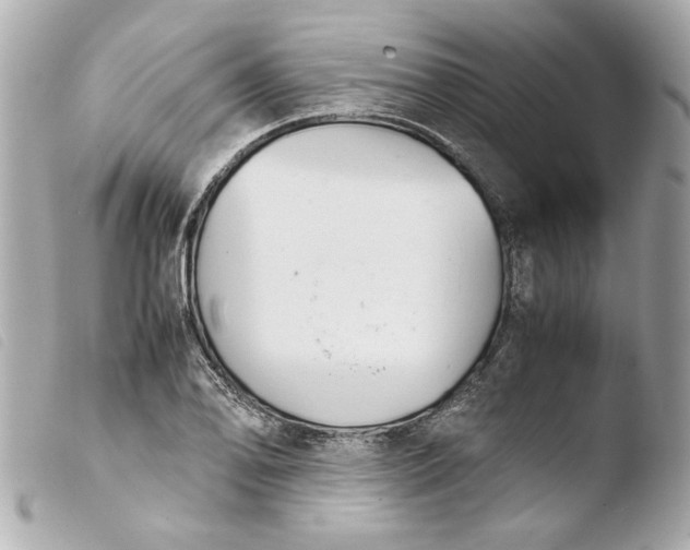 X0000103901078200810031143