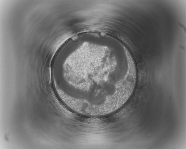 X0000103901079200810031143