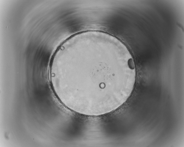 X0000103901080200810031143