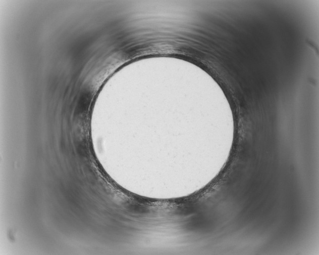 X0000103901081200810031143