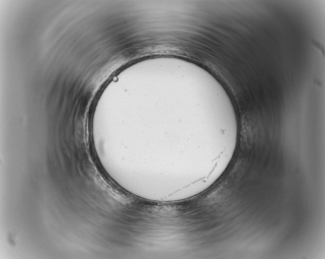 X0000103901082200810031143