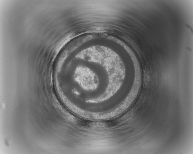 X0000103901083200810031143