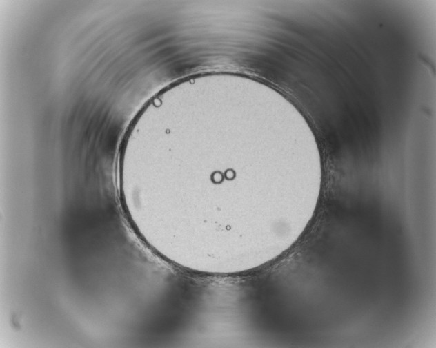 X0000103901084200810031143