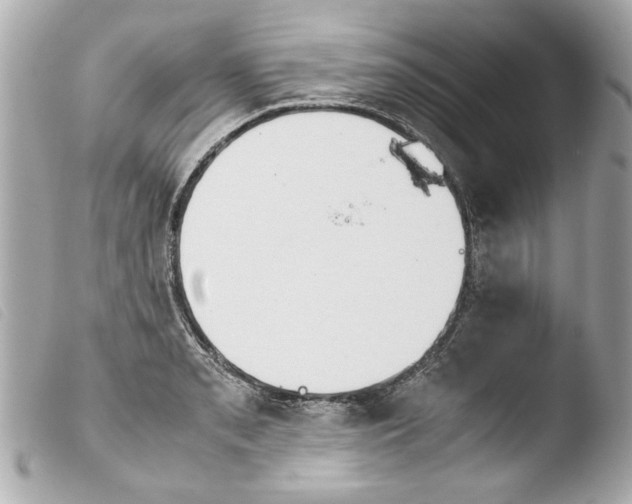 X0000103901085200810031143