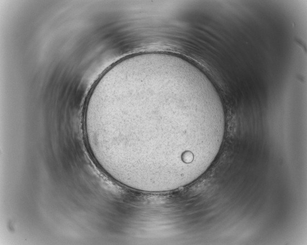 X0000103901086200810031143