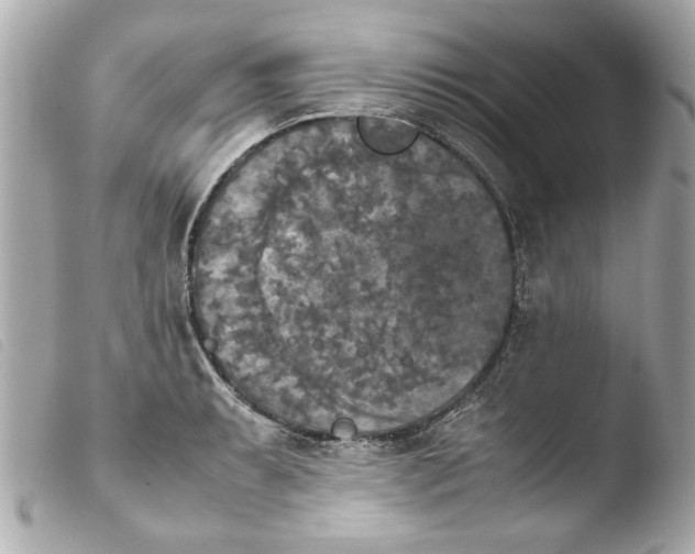 X0000103901087200810031143