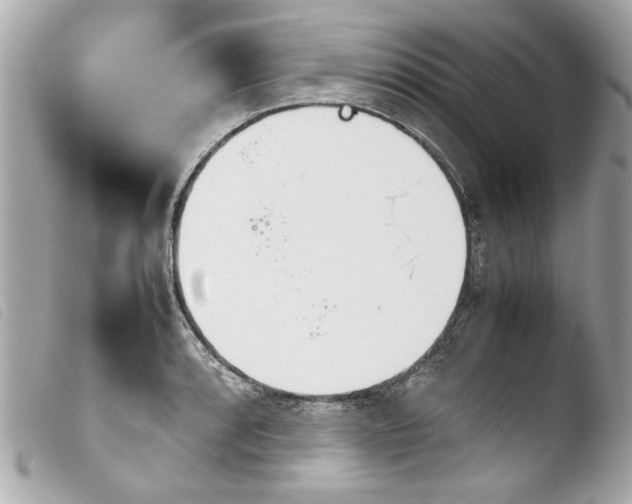 X0000103901088200810031143