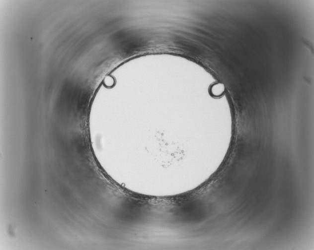 X0000103901089200810031143