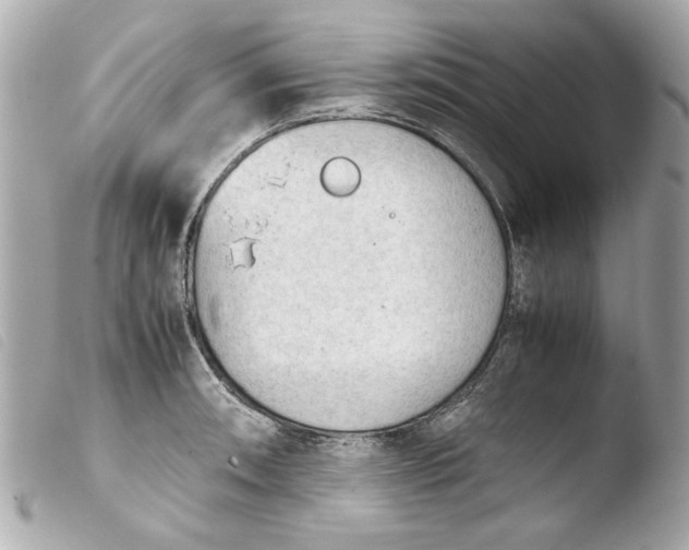 X0000103901090200810031143