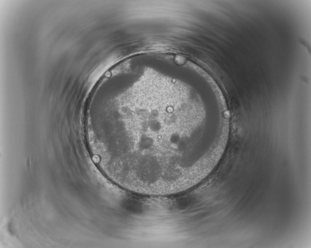 X0000103901091200810031143