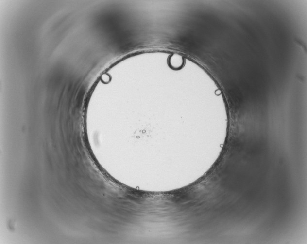 X0000103901093200810031143