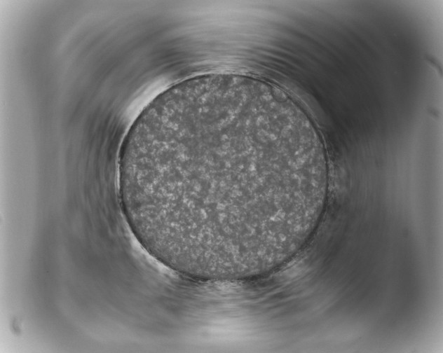 X0000103901095200810031143