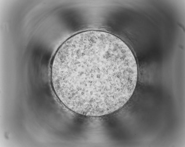 X0000103901096200810031143