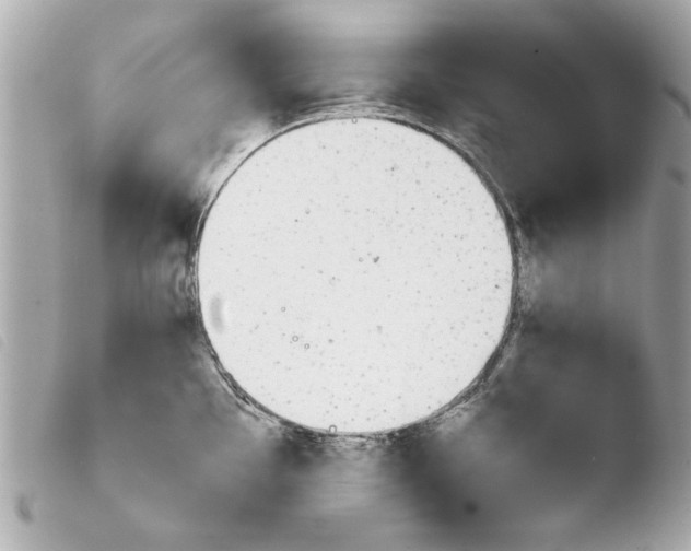 X0000103901097200810031143